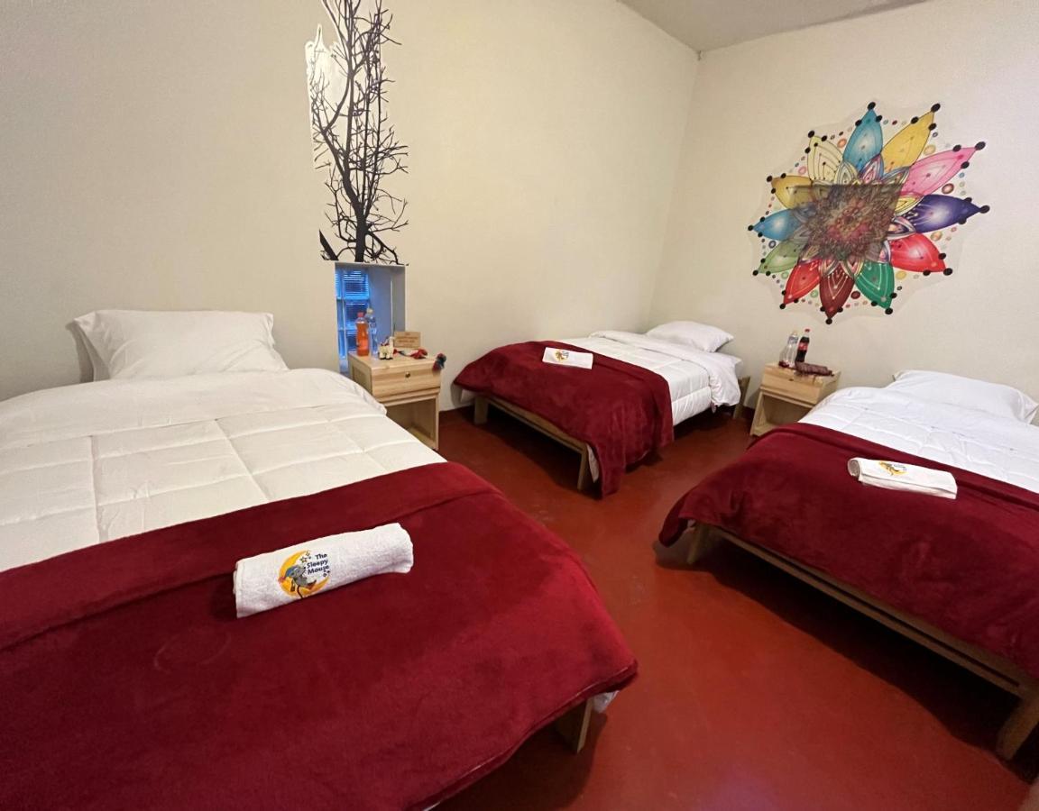 库斯科 The Sleepy Mouse旅舍 外观 照片
